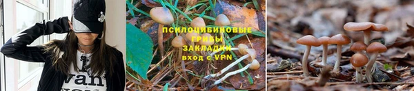 альфа пвп Богданович