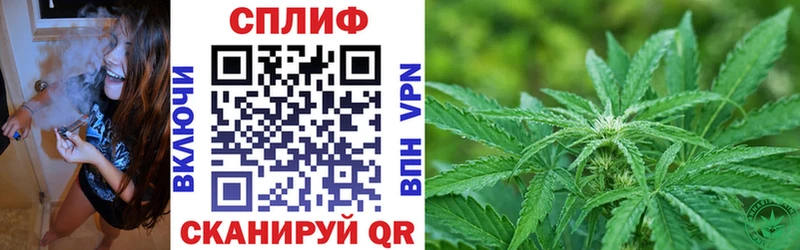 Марихуана план  магазин продажи наркотиков  Тогучин 